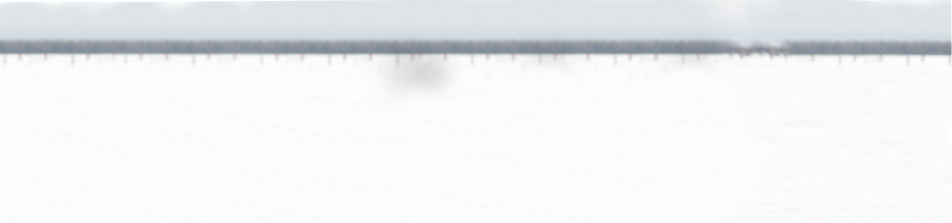 С Нами Вы  полюбите зиму!