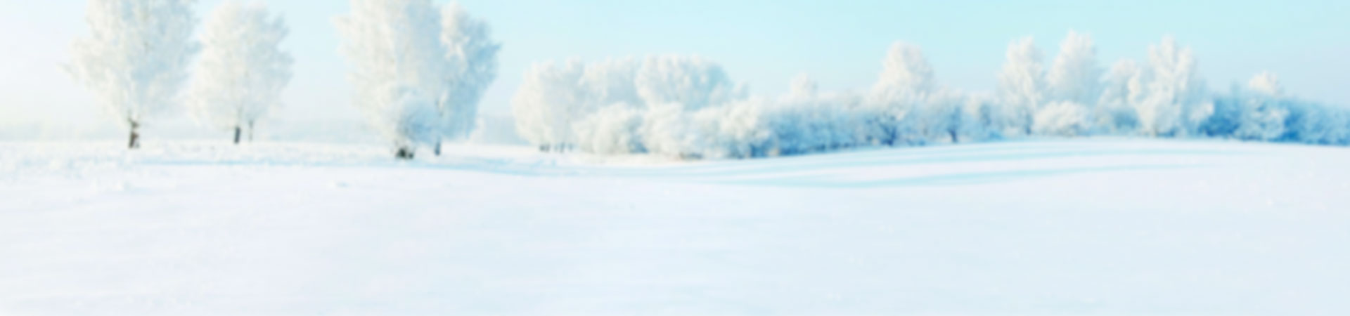 Отправим уже завтра в любую точку мира